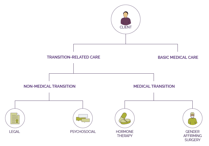 Overview diagram of the different health care needs of trans clients including bascic versus transition-related health care needs, medical (e.g. hormone therapy and transition-related surgery or non-medical (e.g. legal and psychosocial transititioning)