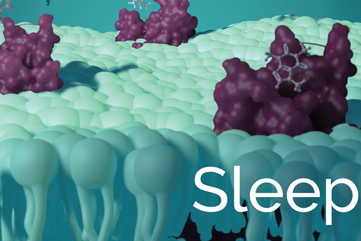 thumbnail image of an editorial cover for the institute of medical sicence magazine: issue on sleep. The cover depicts cellular landscape of a lipid bilayer with embedded A2A receptors and caffeine molecules binding