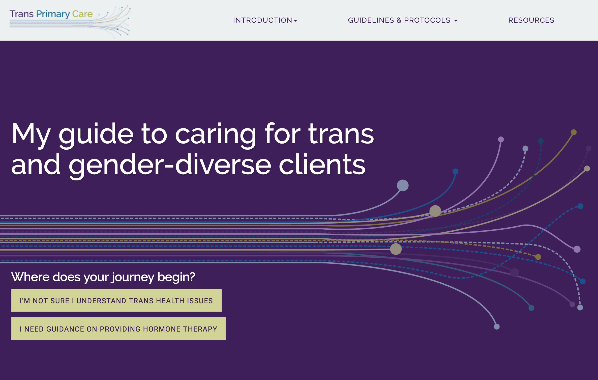 thumbnail image of the desktop website version of the Trans Primary Care Guide