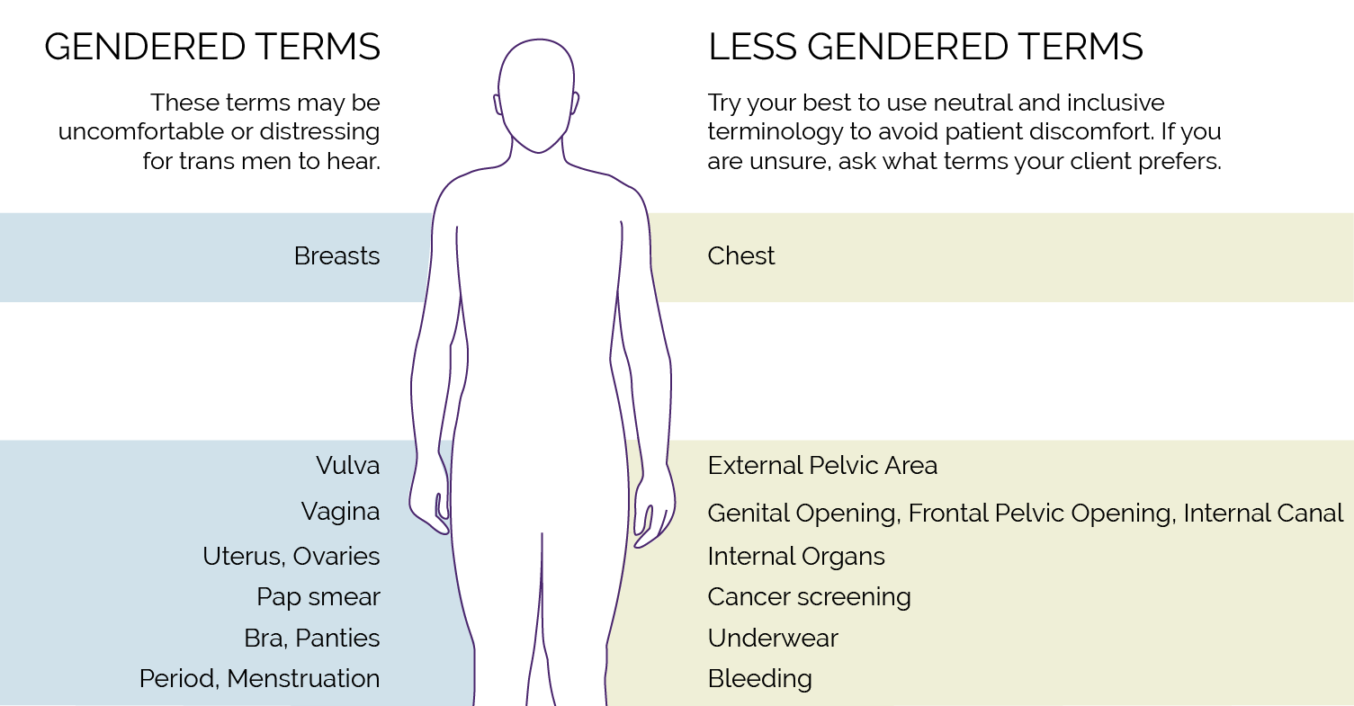 Image that explains what gendered knowledge to avoid using (e.g. breasts, vulva, vagina, uterus/ovaries, pap smear, bra/panties, period/menstruation) and suggests less-gendered terms (e.g. chest, external pelvic area, genital opening, frontal pelvic opening, internal canal, internal organs, cancer screening, underwear, bleeding: 